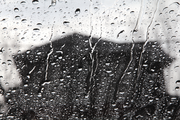 透かし有　雨 (16)1窓に雨
