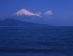 井上千鶴のことば
