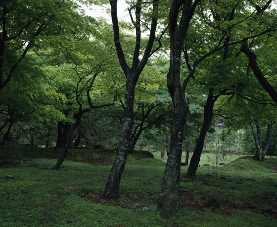 井上千鶴のことば