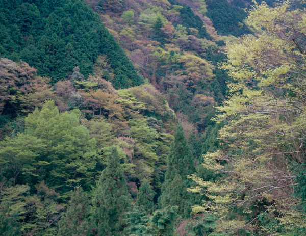 井上千鶴のことば