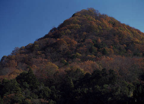 井上千鶴のことば