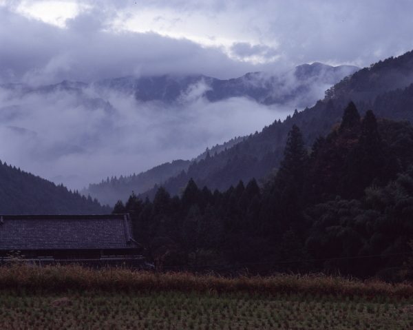 井上千鶴のことば